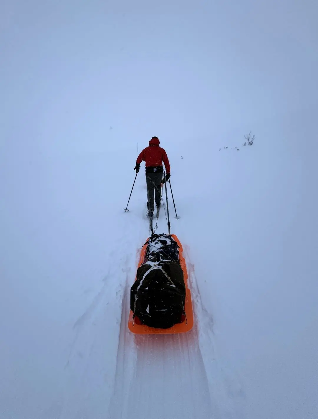The King's Trail