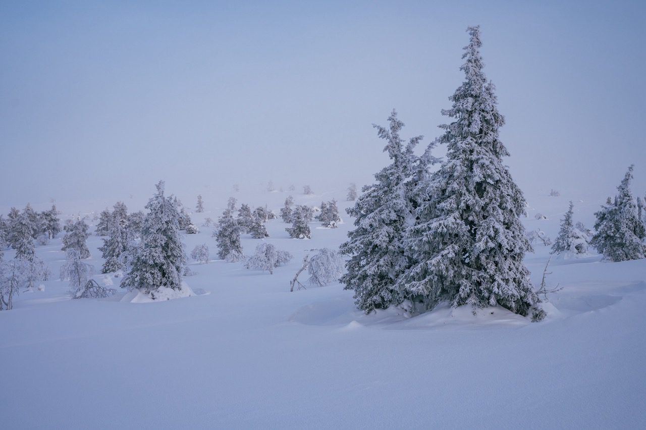 The Lapland Trail