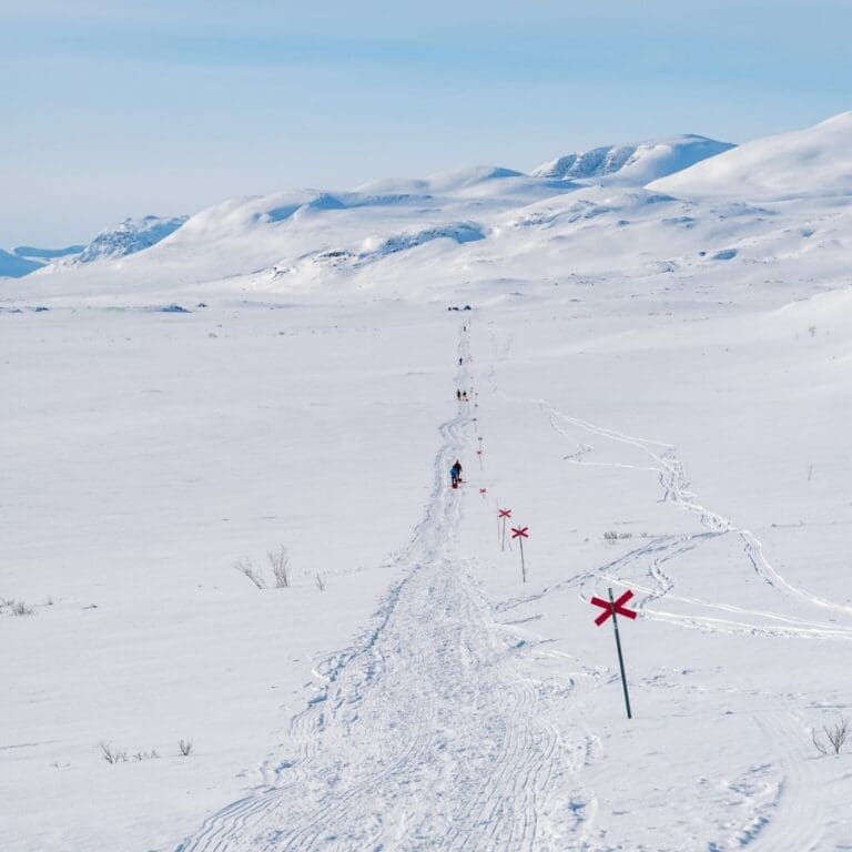 Le King's Trail 2027