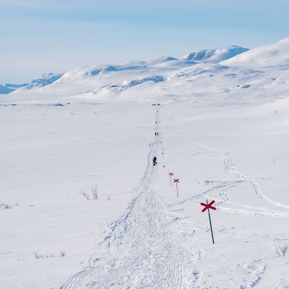 Le King's Trail 2027